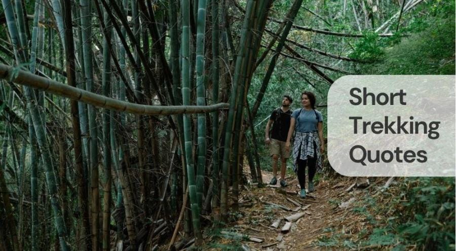 Short trekking quotes Short trekking quotes