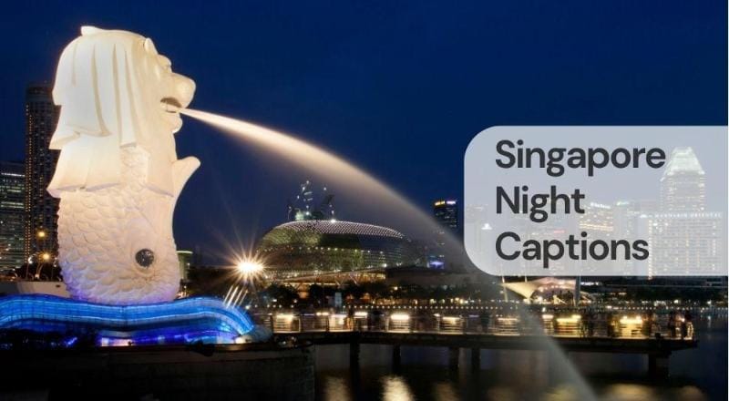 Singapore night captions Singapore night captions