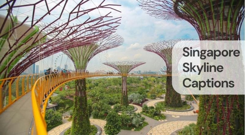 Singapore skyline captions Singapore skyline captions