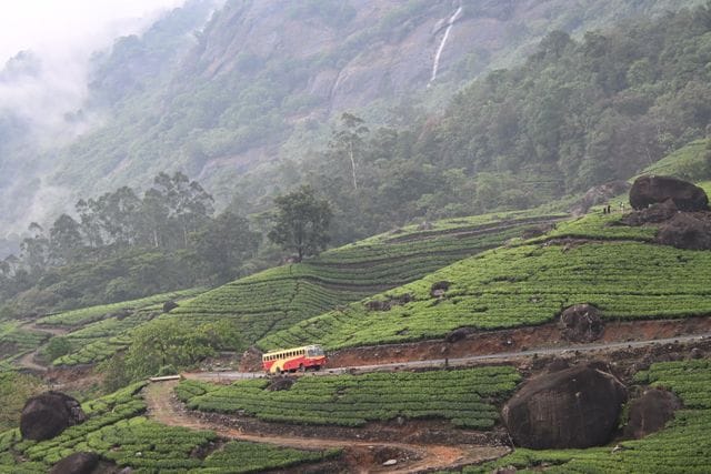 Trekking in munnar captions