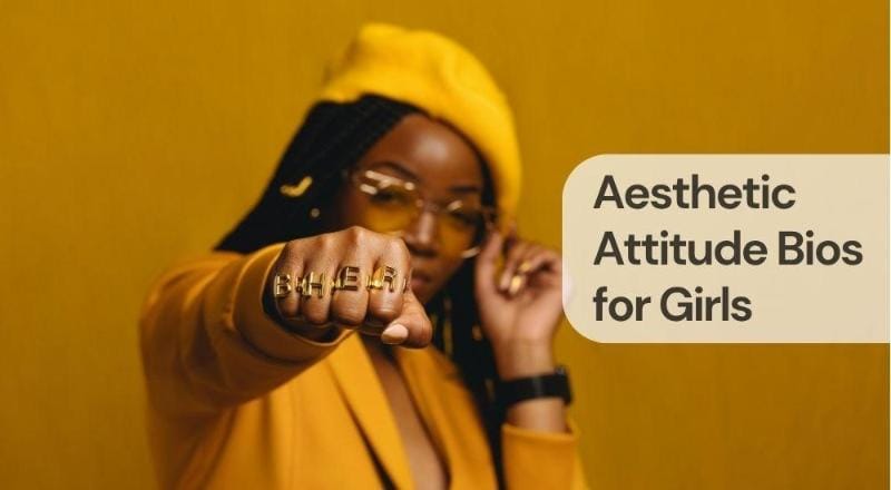 Aesthetic attitude bios for girls Aesthetic attitude bios for girls