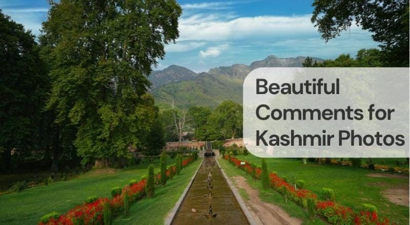Beautiful comments for kashmir photos Beautiful comments for kashmir photos