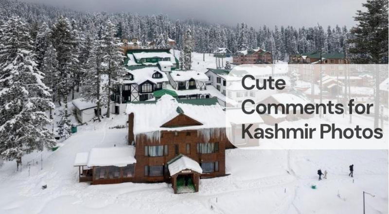 Cute comments for kashmir photos Cute comments for kashmir photos