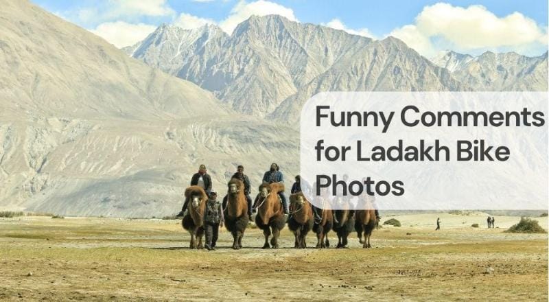 Funny comments for ladakh bike photos Funny comments for ladakh bike photos