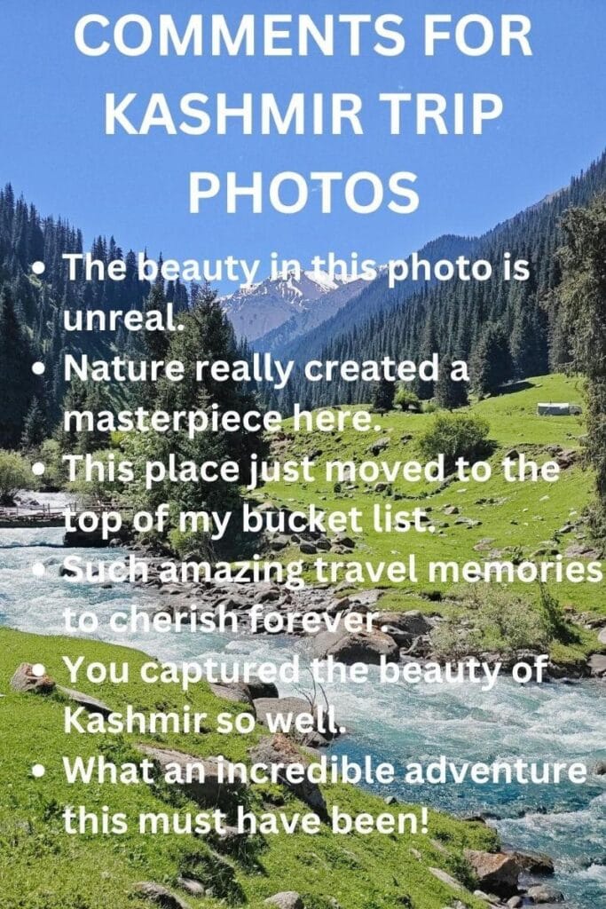 Kashmir vacation comments Kashmir vacation comments
