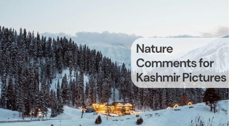 Nature comments for kashmir pictures Nature comments for kashmir pictures