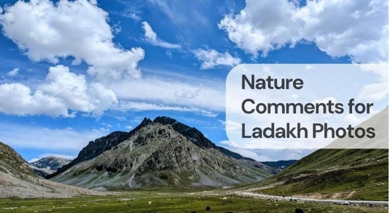 Nature comments for ladakh photos Nature comments for ladakh photos