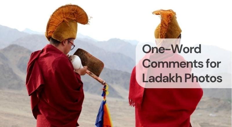 One word comments for ladakh photos One word comments for ladakh photos