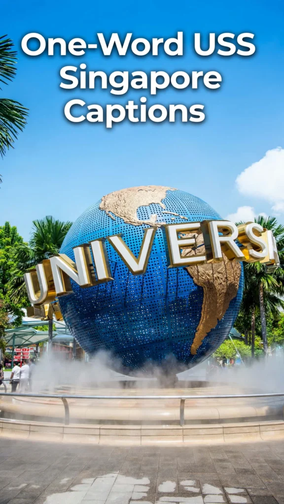 One word uss singapore captions One word uss singapore captions