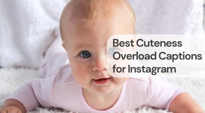 Best cuteness overload captions for instagram