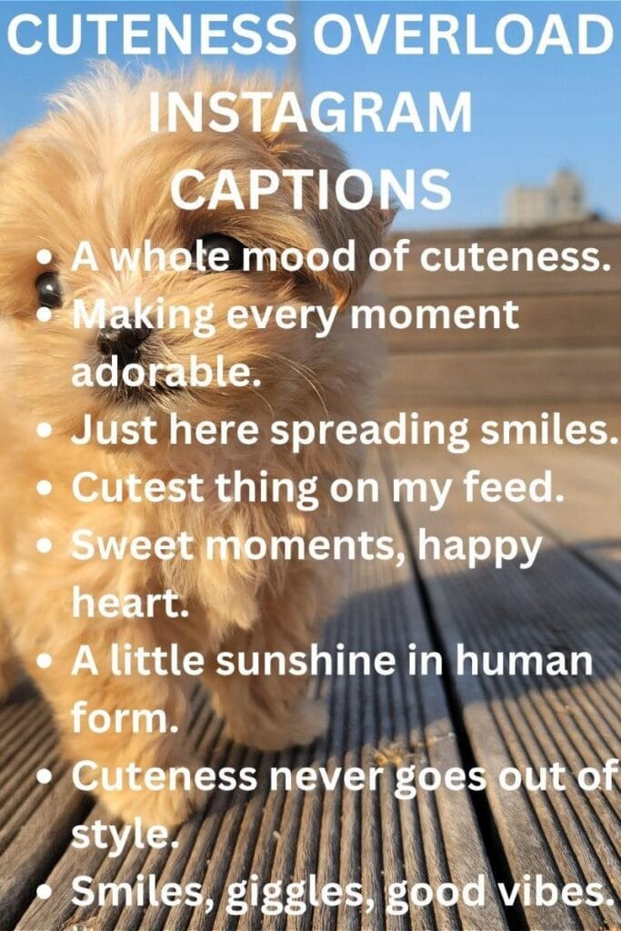 Cuteness captions