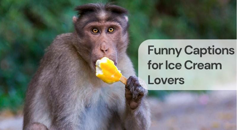 Funny captions for ice cream lovers Funny captions for ice cream lovers