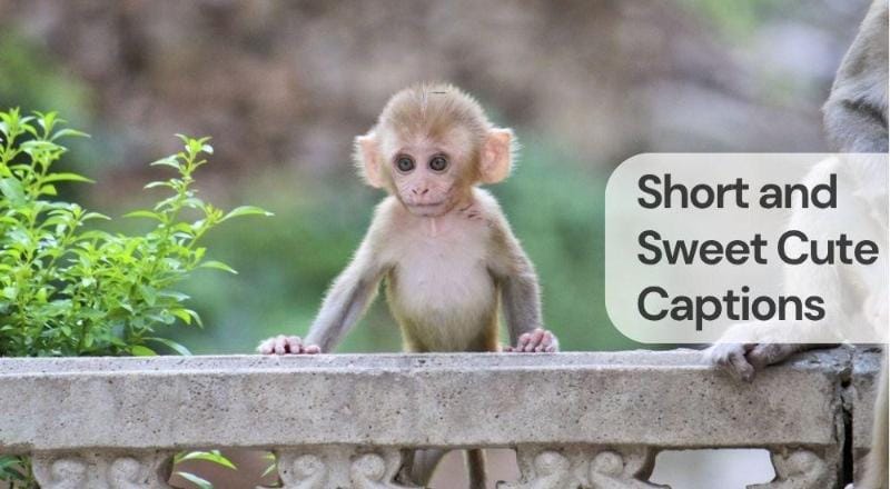 Short and sweet cute captions