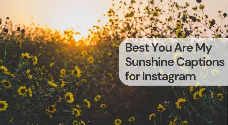 Best you are my sunshine captions for instagram Best you are my sunshine captions for instagram
