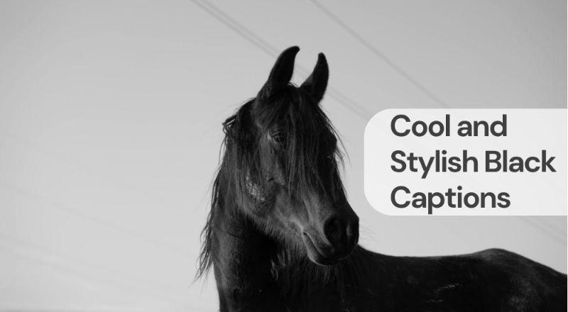 Cool and stylish black captions Cool and stylish black captions