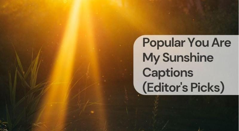 Popular you are my sunshine captions Popular you are my sunshine captions