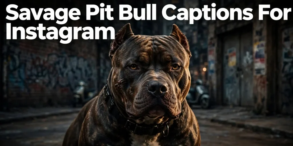 Savage pit bull captions for instagram Savage pit bull captions for instagram